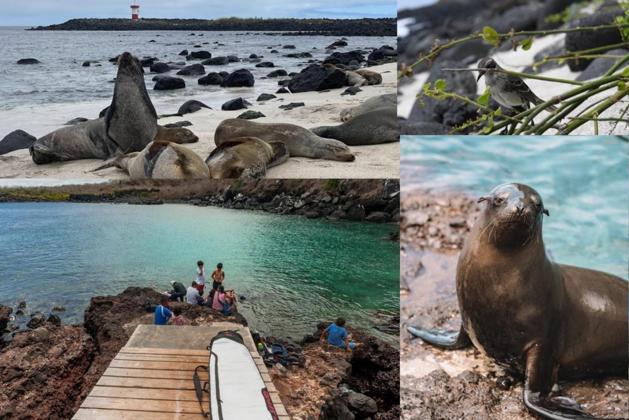 Blue Horizon - Galapagos Home 巴克里索莫雷诺港 外观 照片